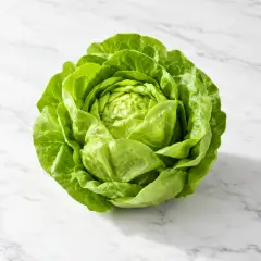 Fresh Butter Lettuce, Each