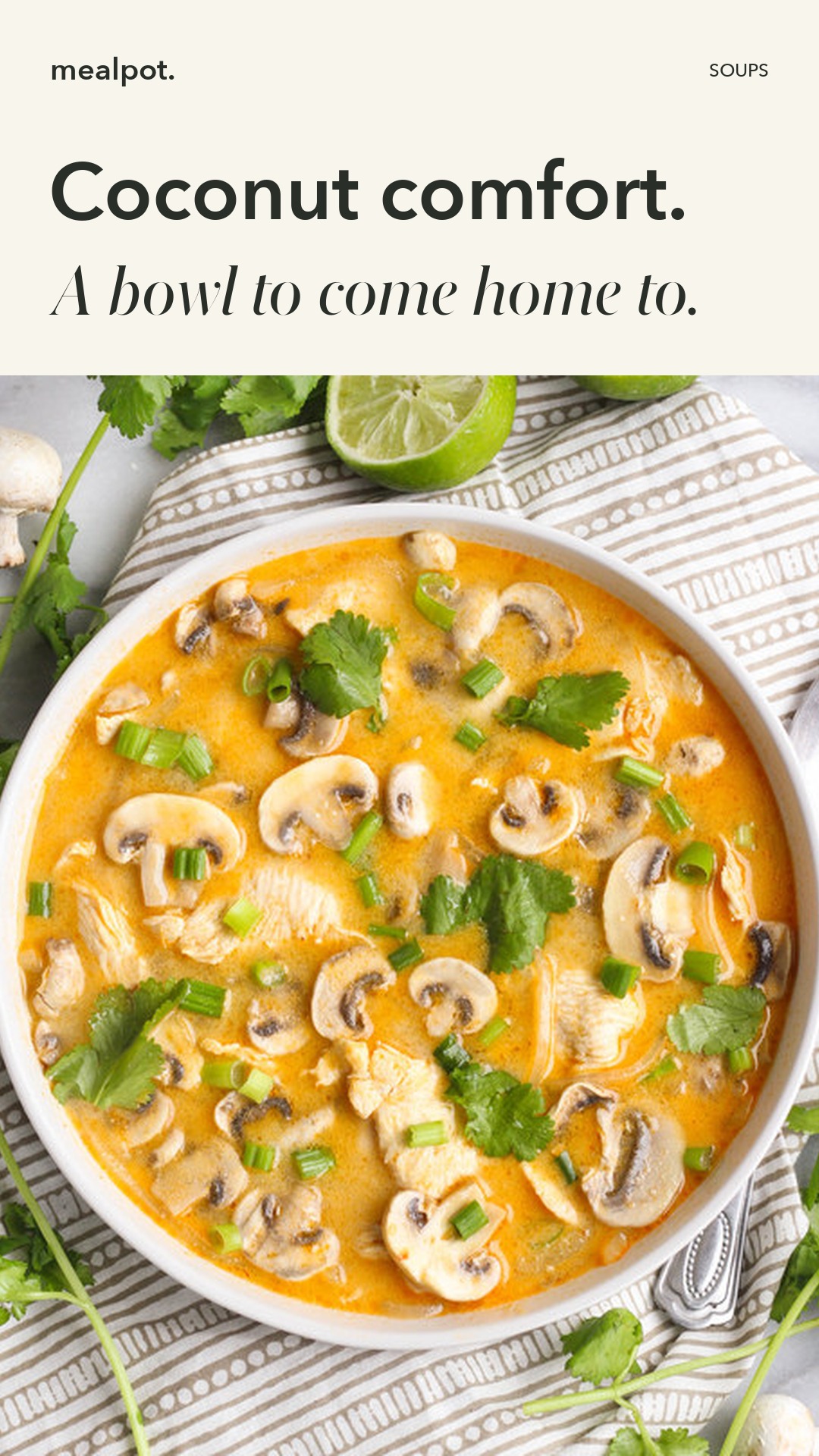 Spicy Thai Coconut Chicken Soup (Tom Kha Gai)